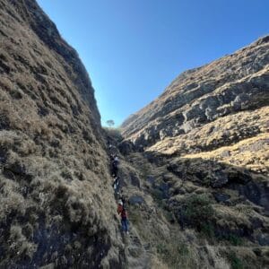 WhatsApp Image 2026-01-04 at 10.31.33 PM