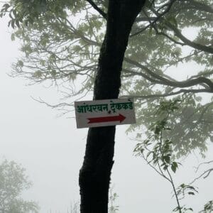 WhatsApp Image 2025-04-20 at 4.31.53 PM (1)